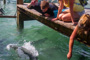 slides/_MG_4943.jpg Kyle, Tarpon, Underwater _MG_4943