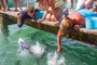 slides/_MG_4951.jpg Kyle, Tarpon, Underwater _MG_4951