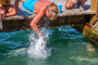 slides/_MG_4968.jpg Debbie, Tarpon, Underwater _MG_4968