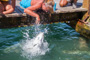 slides/_MG_4969.jpg Debbie, Tarpon, Underwater _MG_4969