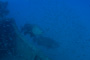 slides/IMG_4969.jpg Goliath Grouper, Underwater IMG_4969