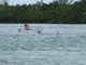 slides/IMG_1108crop.jpg Skiing to Thunderbolt Coffins Patch Spearfishing July 21 2009, Whale Shark Vaca Cut IMG_1108crop