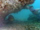 slides/IMG_9222acac.jpg Goliath Grouper, Kyle, Rocks, Spearfishing Backside July 19 2009 IMG_9222acac